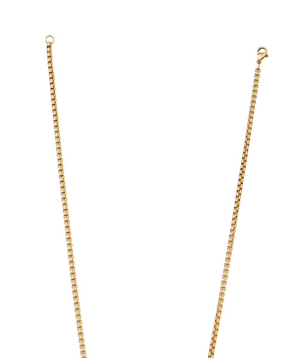 Lion Crest Medallion Necklace | Stylika