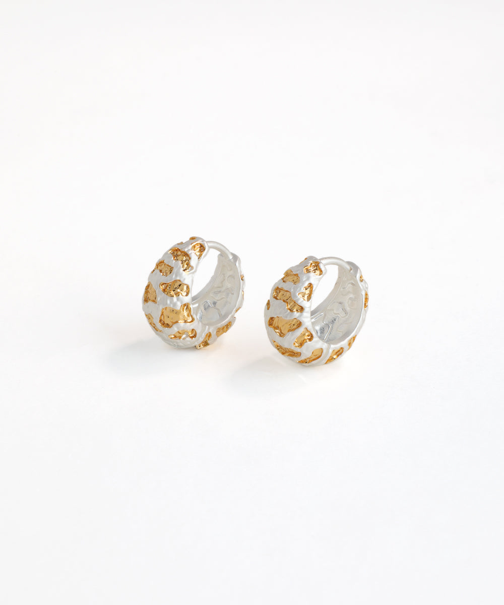 Pair of silver and gold hoop earrings on a white background