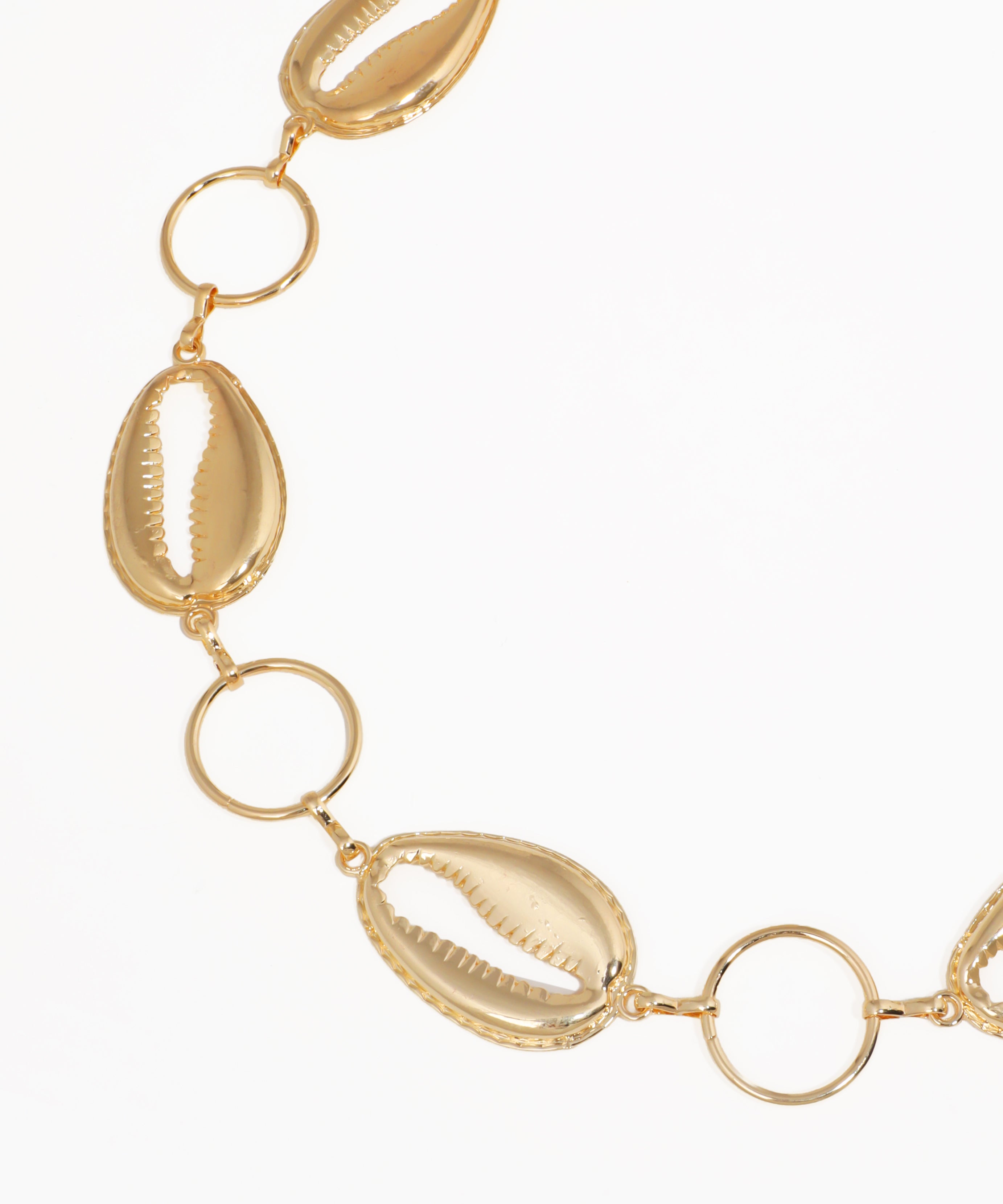 Gold necklace with shell and circular links on a white background