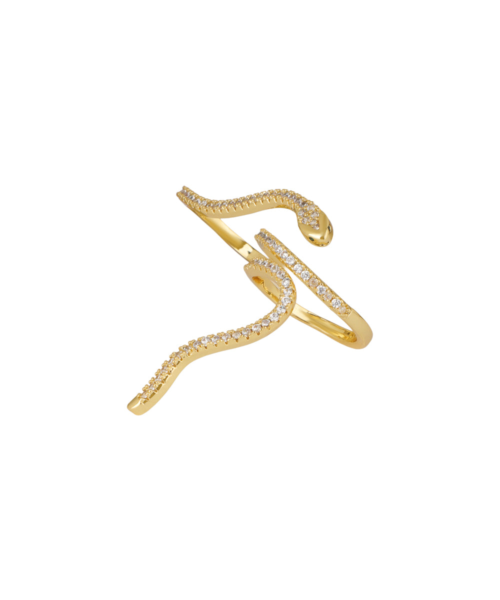 Snake Wrap Two-Finger Ring | Stylika