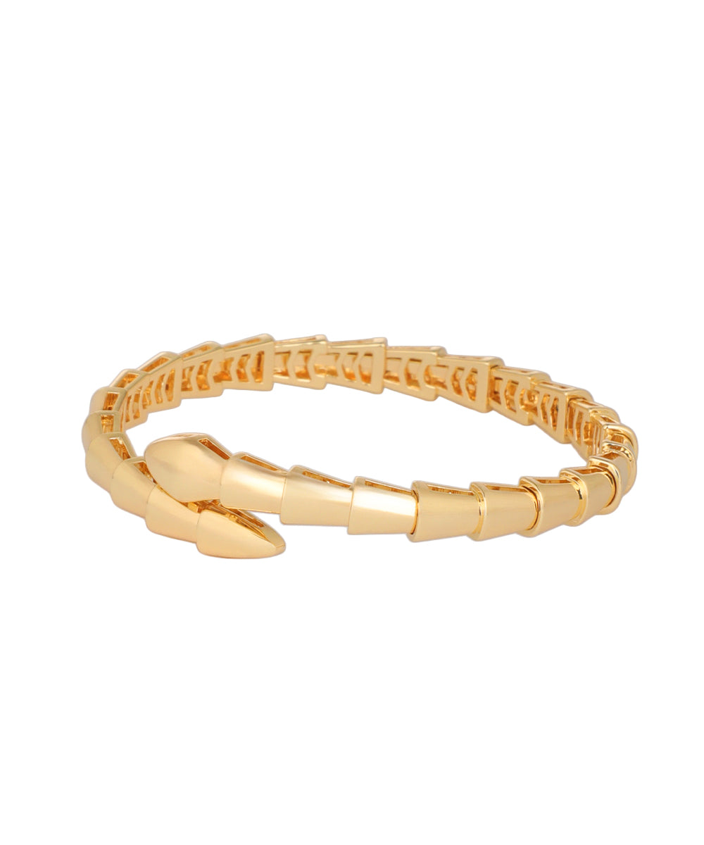 Snake Coil Bangle Bracelet | Stylika