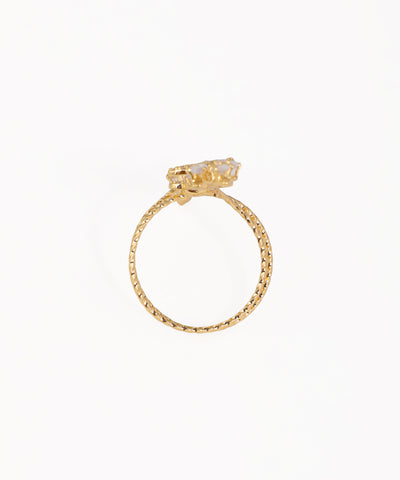 Sparkling Butterfly Vine Embellished Full-Finger Ring | Stylika