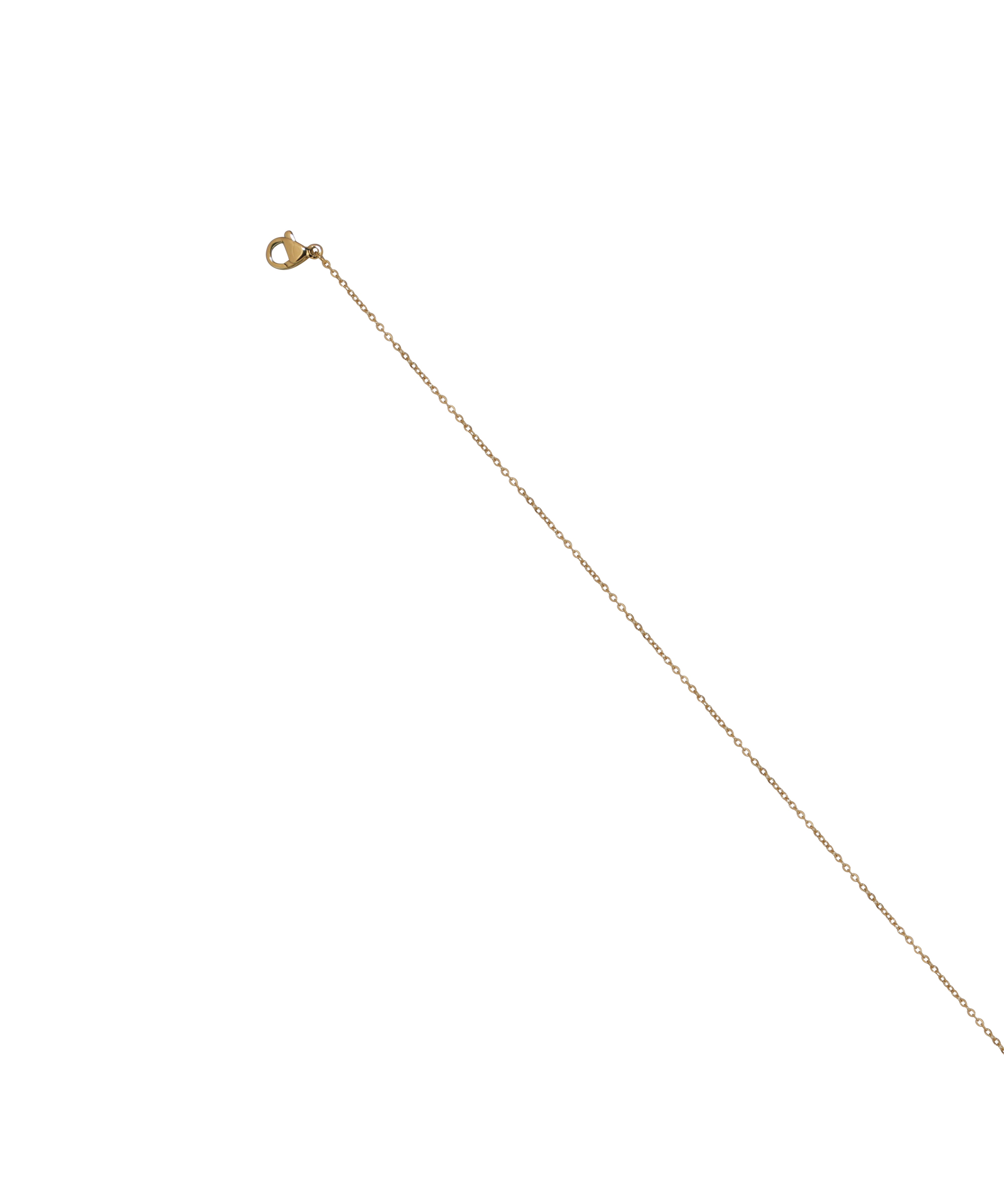 Dainty Disc Embellished Waist Chain | Stylika