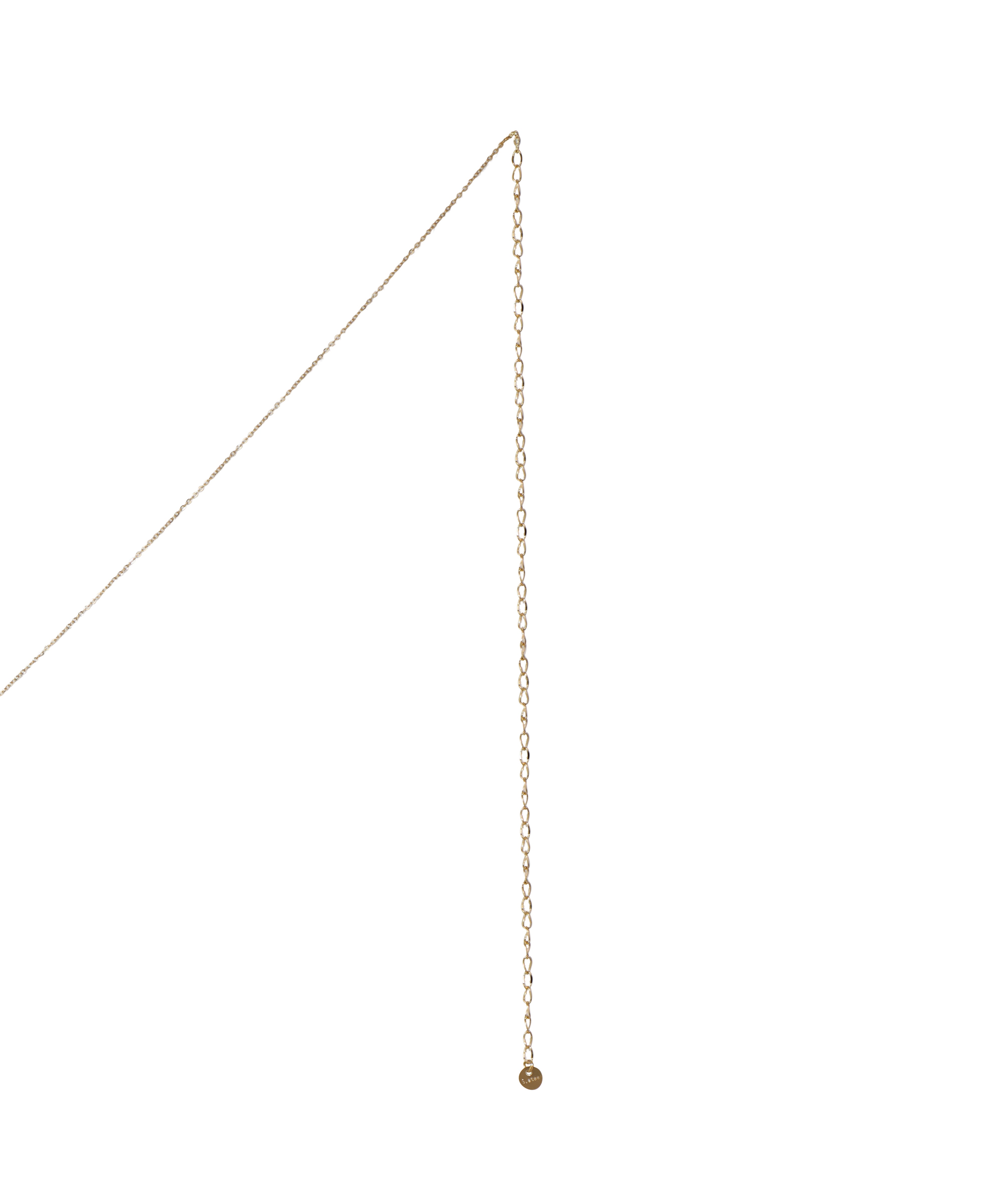Dainty Disc Embellished Waist Chain | Stylika