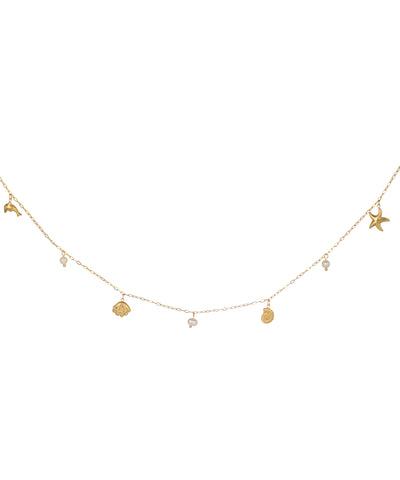 Dolphin Shell Star Charm Dainty Waist Chain | Stylika