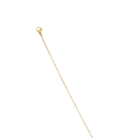 Dolphin Shell Star Charm Dainty Waist Chain | Stylika