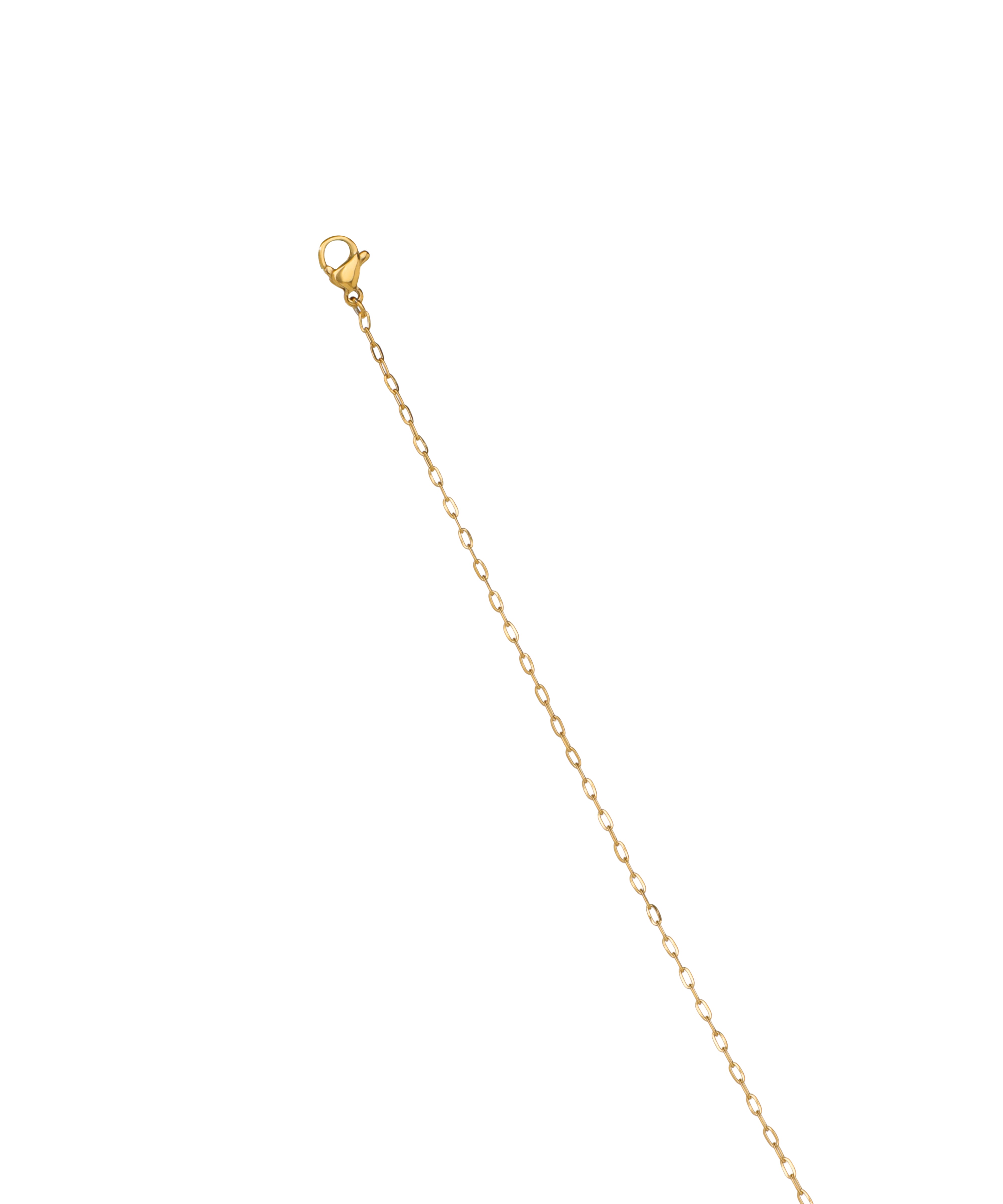 Dolphin Shell Star Charm Dainty Waist Chain | Stylika