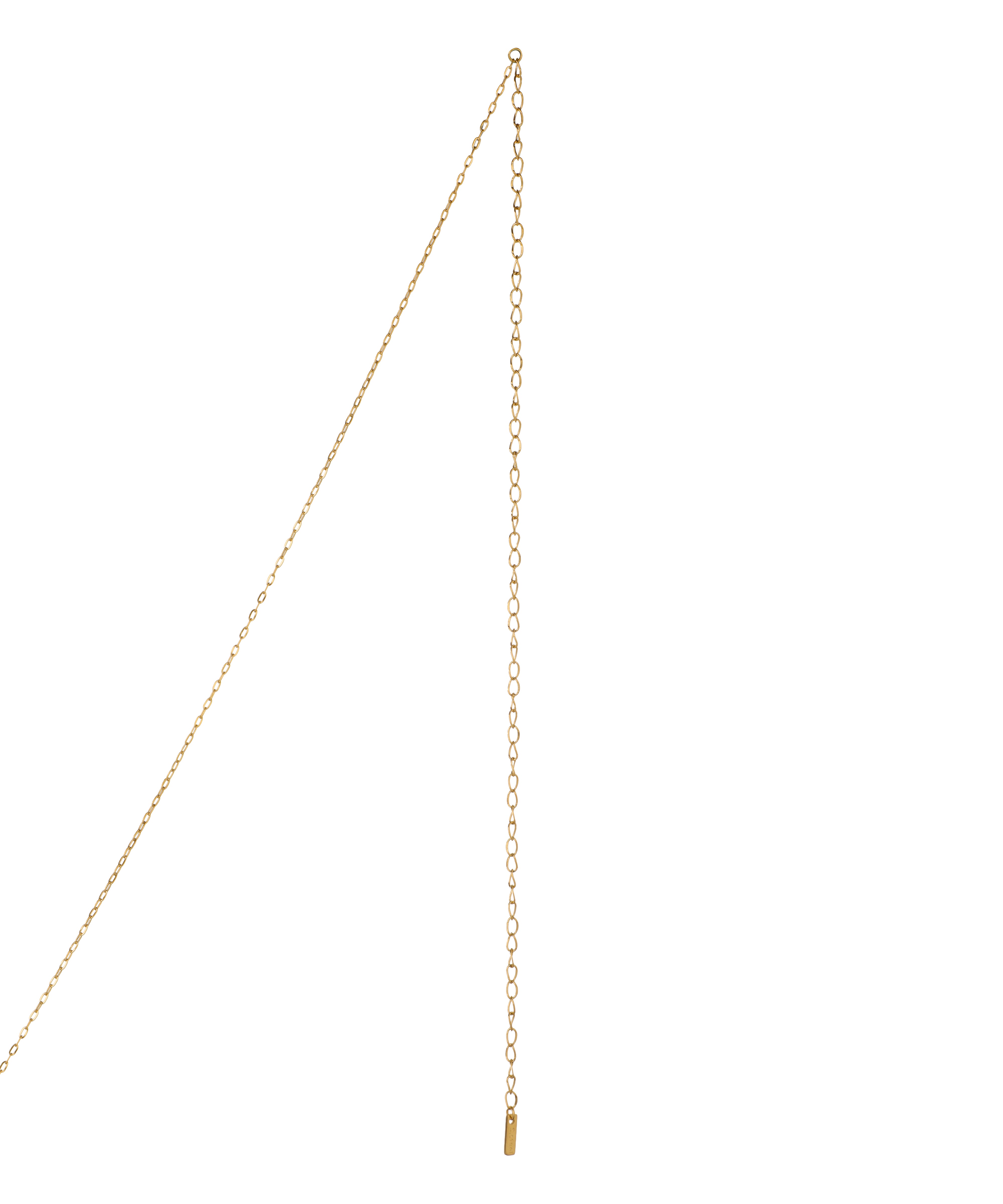 Dolphin Shell Star Charm Dainty Waist Chain | Stylika