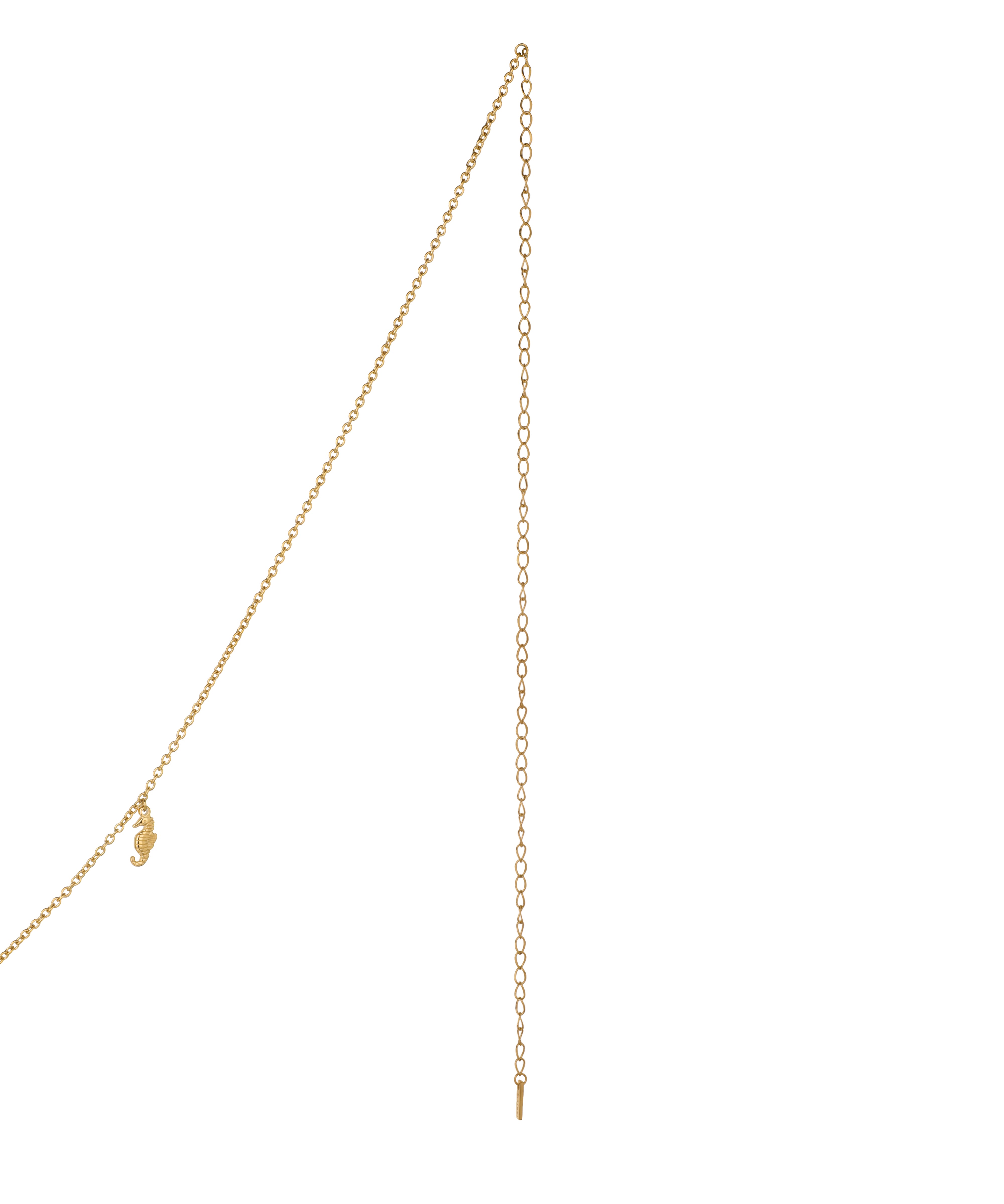 Delicate Seashell Starfish Charm Dainty Waist Chain | Stylika