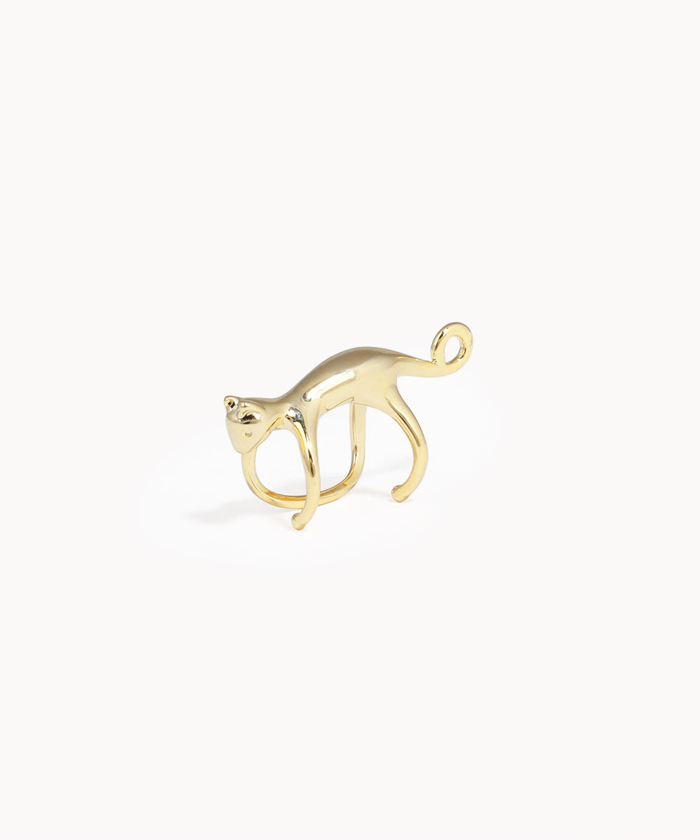 Wooden ring on a white background