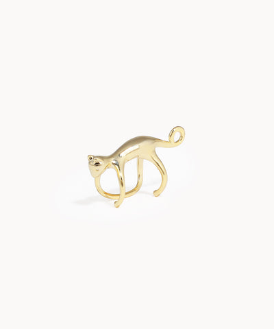 Wooden ring on a white background