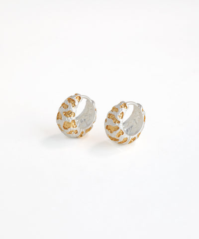 Pair of silver and gold hoop earrings on a white background
