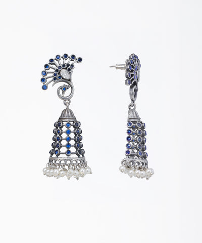 Pair of silver earrings with blue gemstones on a white background